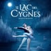 Le Lac des Cygnes
