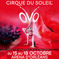 Cirque du Soleil - OVO