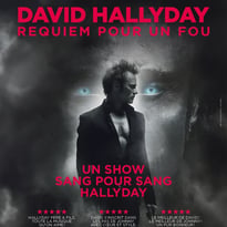 David Hallyday