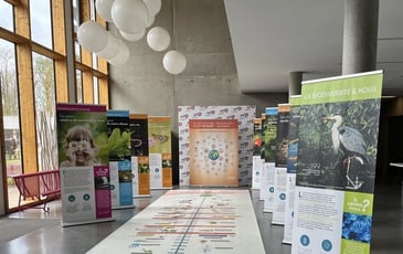 Exposition sur le patrimoine naturel à la Maison du Terroir et d'Animations de Beaulieu-sur-Loire