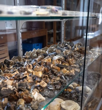 Visites libres des collections du musée