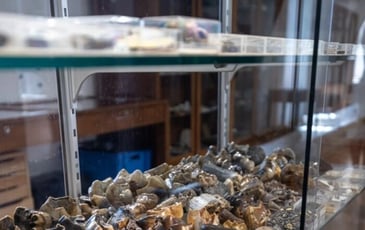 Visites libres des collections du musée