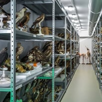 Visites guidées du centre de conservation