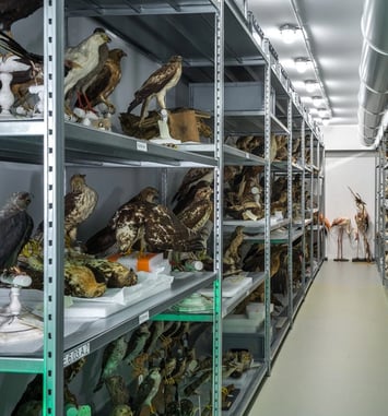 Visites guidées du centre de conservation