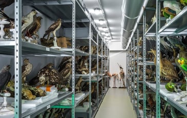 Visites guidées du centre de conservation