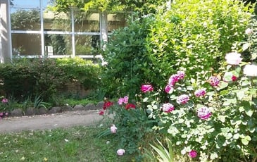 Promenade sur la terrasse Louis XI