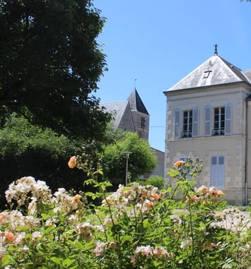 Visite libre du parc