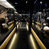 Visite gratuite du parcours