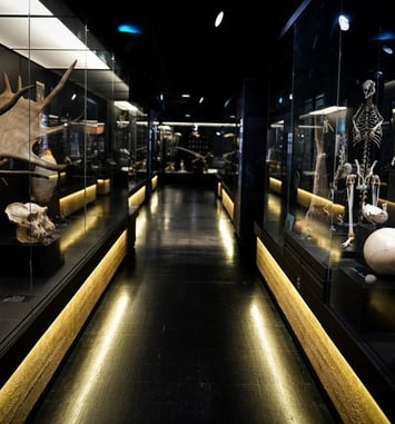 Visite gratuite du parcours