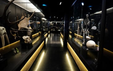 Visite gratuite du parcours
