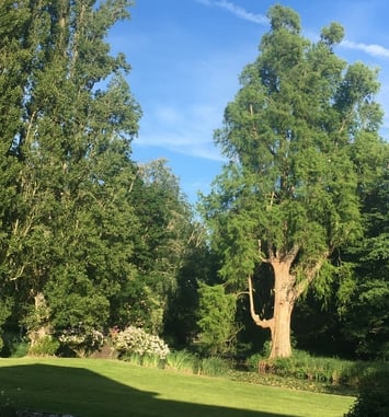 Visite libre du parc et des bords de rivière