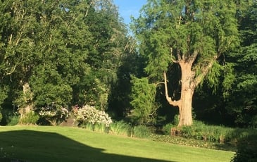 Visite libre du parc et des bords de rivière