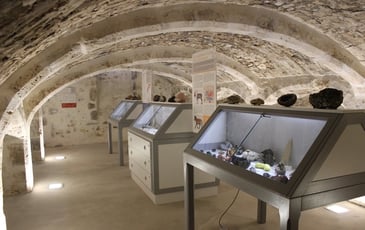 Visites guidées du musée de la Préhistoire