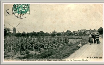 Et si Fleury m'était contée ...