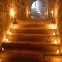 Visite guidée de la crypte gothique