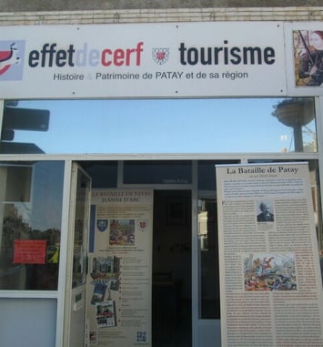 Visite libre et animation