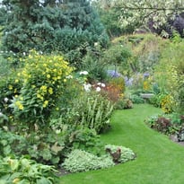 Visite libre du jardin personnel d'André Eve et vente de vivaces