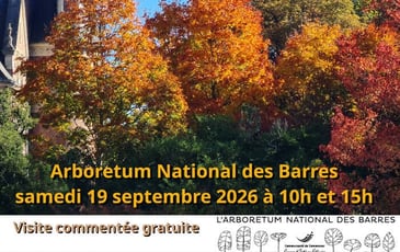 205 ans d'histoire de la forêt française se sont déjà écrits ici, poursuivons !