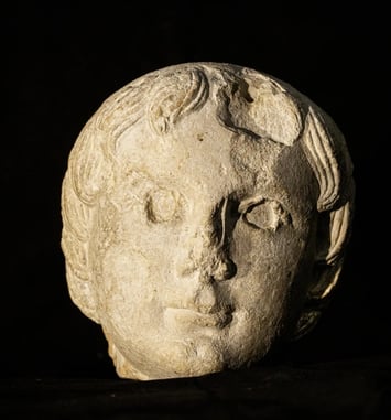 Visite commentée du musée et du site archéologique