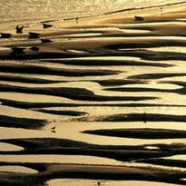 Laudato Si', Exposition de photographies de Yann Arthus-Bertrand