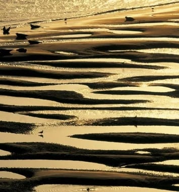 Laudato Si', Exposition de photographies de Yann Arthus-Bertrand