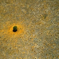 Laudato Si', Exposition de photographies de Yann Arthus-Bertrand