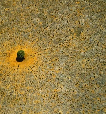 Laudato Si', Exposition de photographies de Yann Arthus-Bertrand