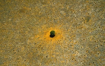 Laudato Si', Exposition de photographies de Yann Arthus-Bertrand