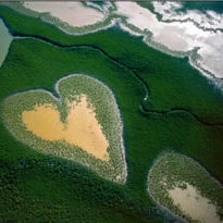 Laudato Si', Exposition de photographies de Yann Arthus-Bertrand