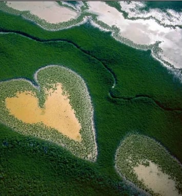 Laudato Si', Exposition de photographies de Yann Arthus-Bertrand