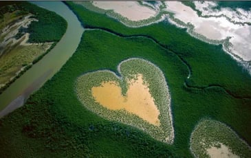 Laudato Si', Exposition de photographies de Yann Arthus-Bertrand